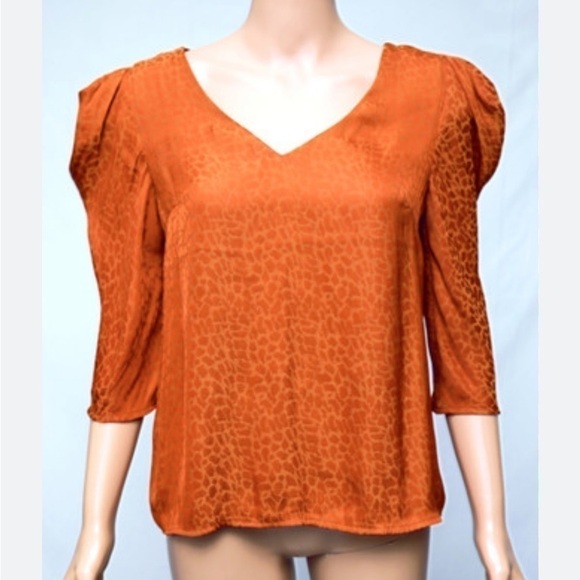 NWT A New Day animal print v-neck top puff sleeves Medium rust color - Picture 1 of 6